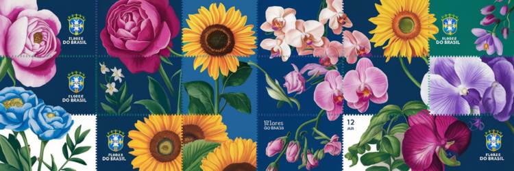 Correio - AGF Vila Clementino