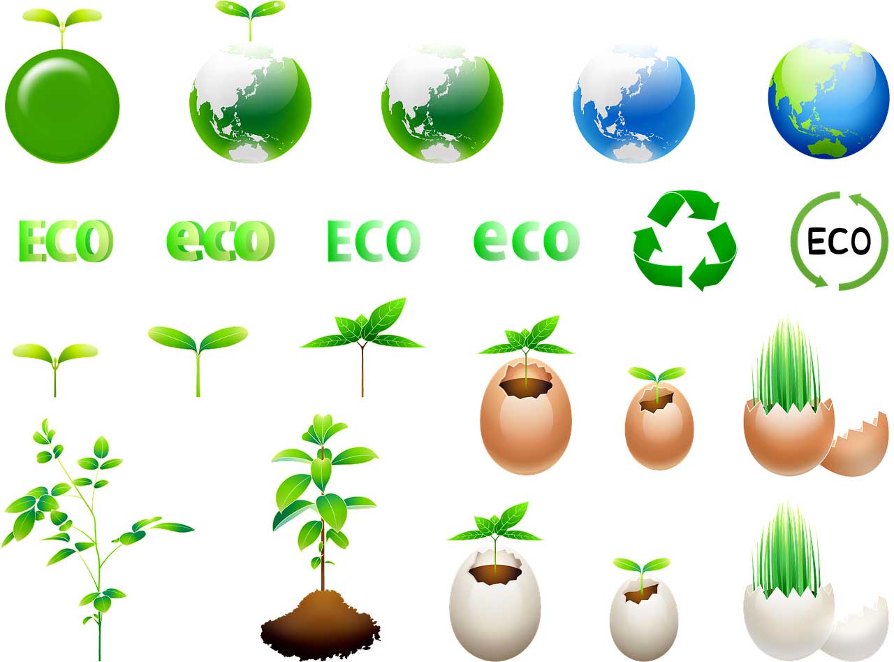 Resíduos sólidos e ecologia