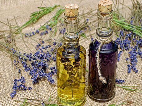 dançando com o perfume da lavanda