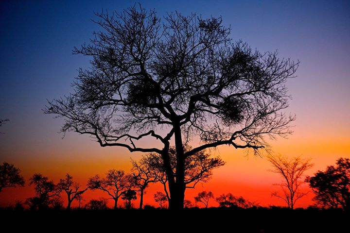 Por do Sol na África