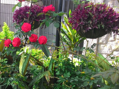 Jardim Bezerra de Menezes