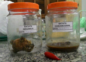 Orgânicos