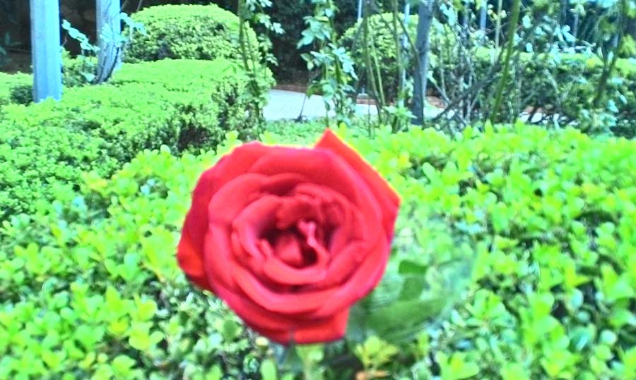 Oficina para crianças e bebês na Casa das Rosas
