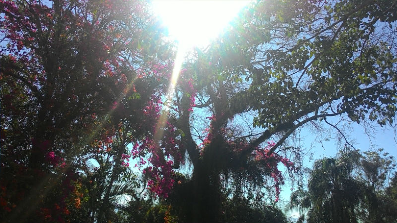 26º Diálogo Sobre Espiritualidade e Saúde na FMO