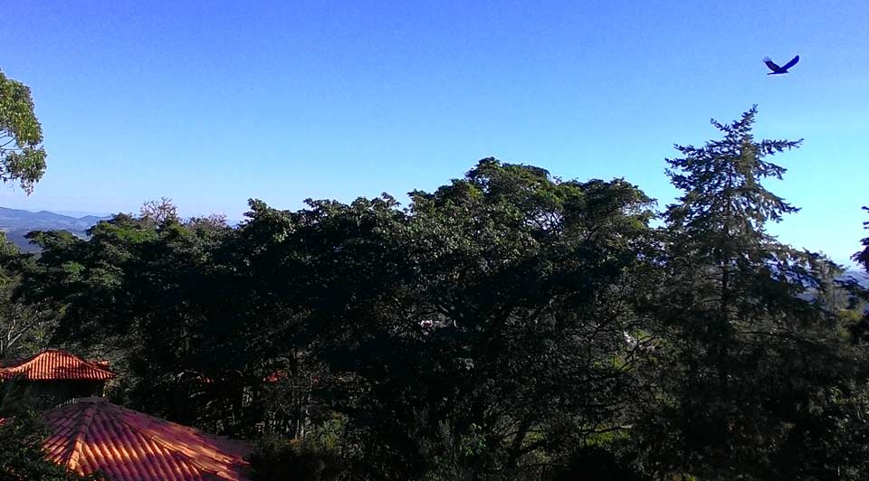 Turismo Sesc Vila Mariana