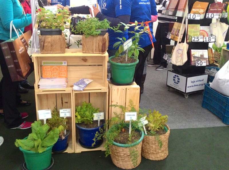 Plantas Medicinais e Aromáticas nas Hortas na Umapaz