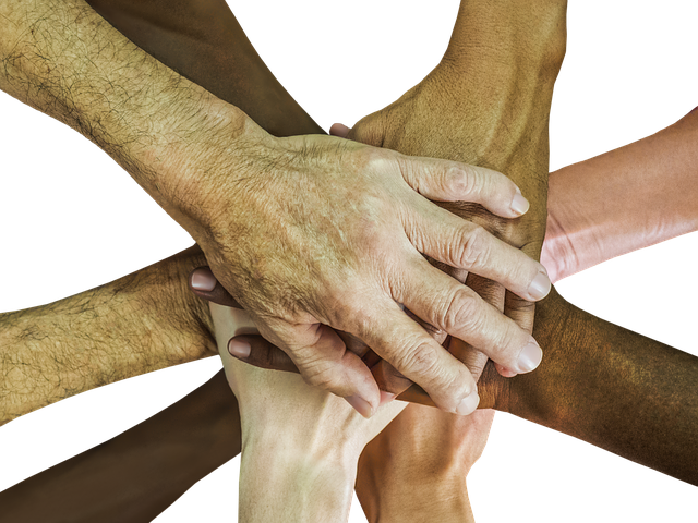 Curso sobre Técnicas de Libertação Emocional