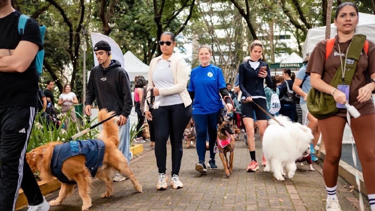 Ibira Taste Festival estreia no Obelisco do Ibirapuera com 50 expositores, shows e entrada grátis pelos 131 anos da Vila Mariana